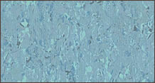 Vinelle Flooring vinyl-sheet-azur