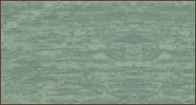 Vinelle Flooring vinyl-sheet-Herb Green