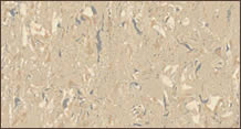 Vinelle Flooring vinyl-sheet-lichen